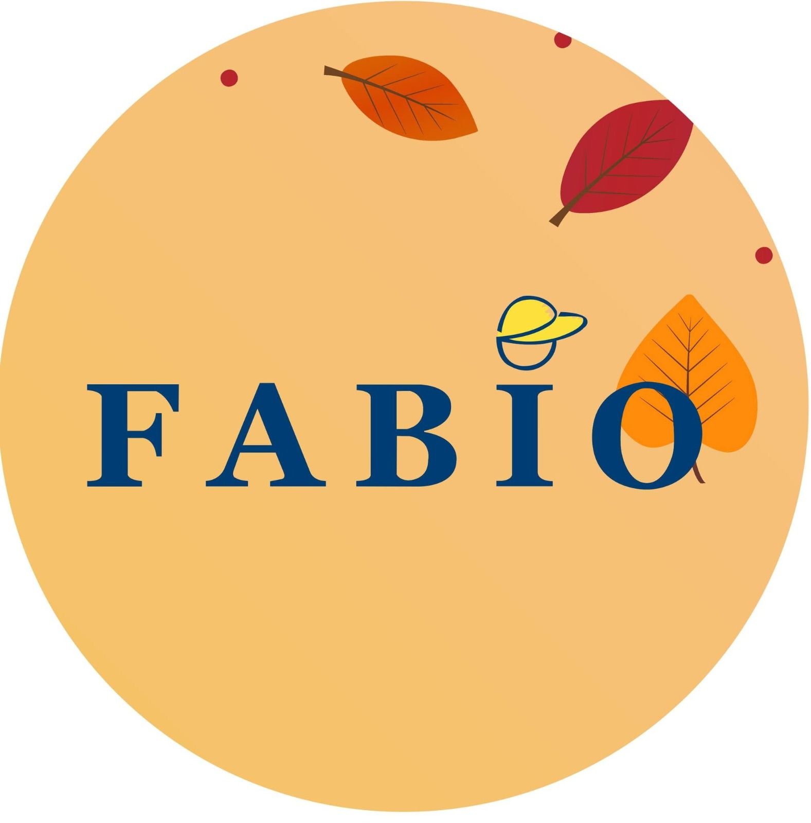 Logo Fabio
